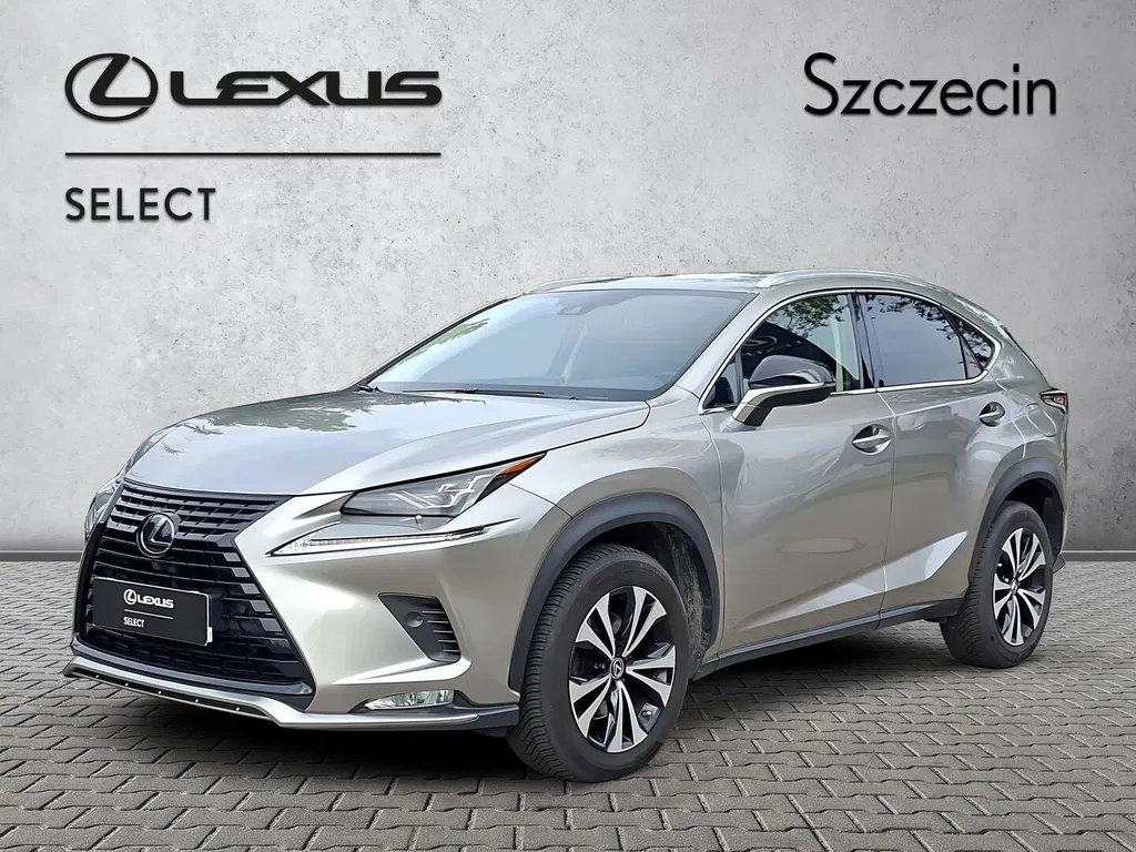 Zdjęcie: 2021 Lexus NX
