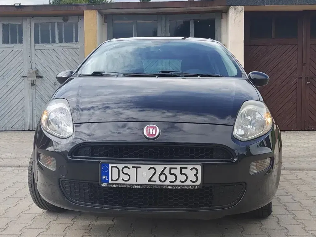 Zdjęcie: 2014 Fiat Punto