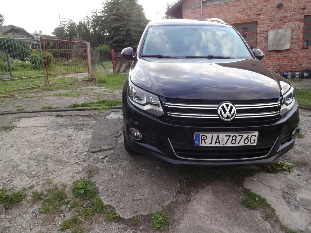 Zdjęcie: 2013 Volkswagen Tiguan