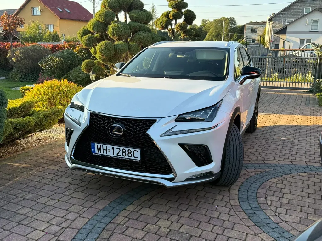 Zdjęcie: 2021 Lexus NX