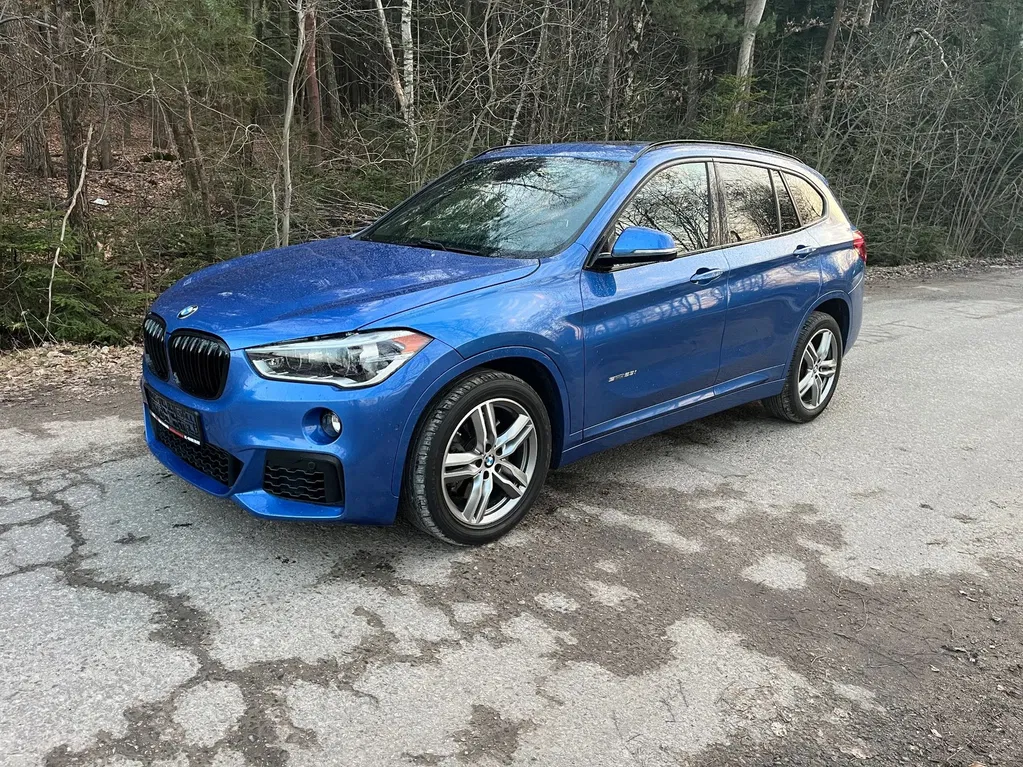 Zdjęcie: 2017 BMW X1