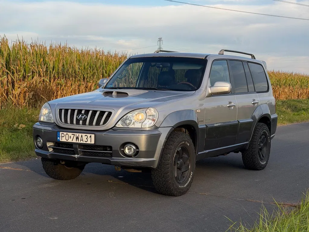 Zdjęcie: 2004 Hyundai Terracan