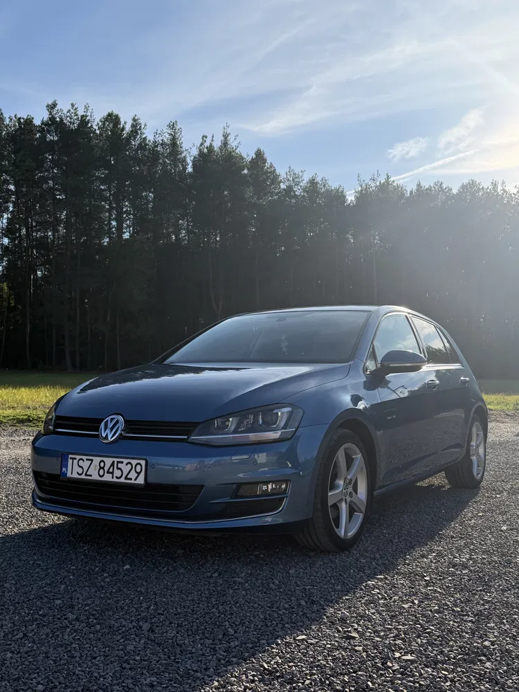 Zdjęcie: 2013 Volkswagen Golf