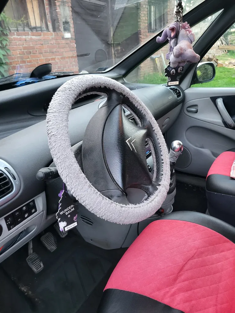 Zdjęcie: 2005 Citroen Xsara Picasso