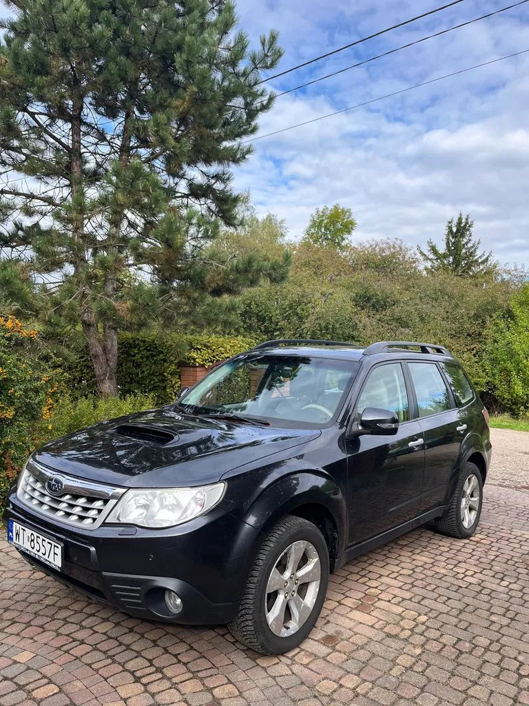 Zdjęcie: 2012 Subaru Forester