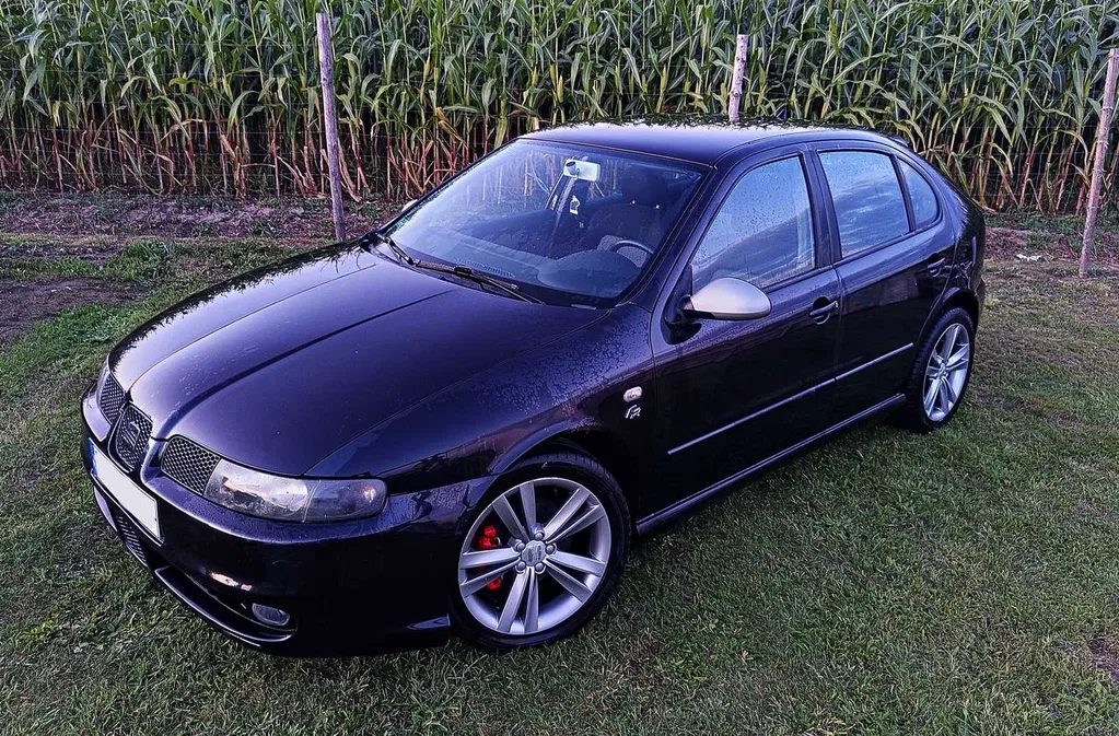 Zdjęcie: 2005 Seat Leon