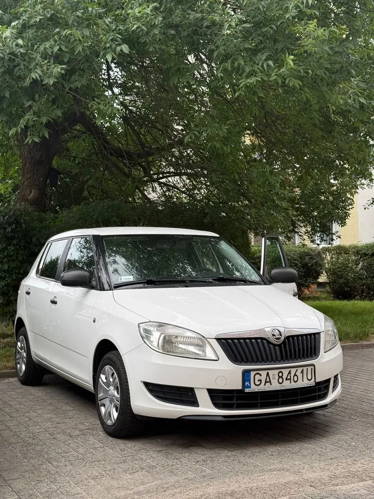 Zdjęcie: 2014 Skoda Fabia