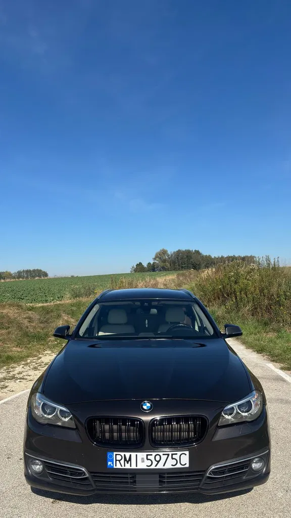 Zdjęcie: 2015 BMW Seria 5