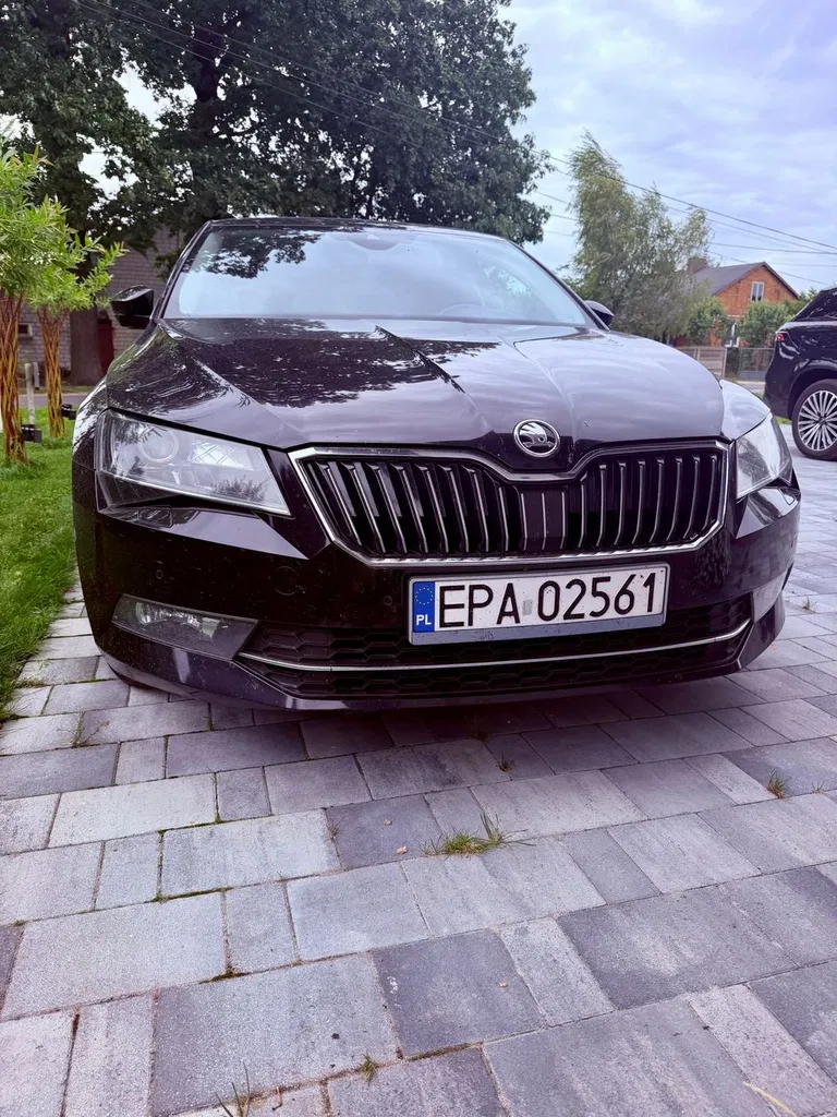 Zdjęcie: 2016 Skoda Superb