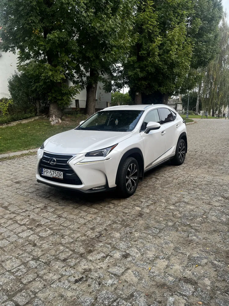 Zdjęcie: 2014 Lexus NX