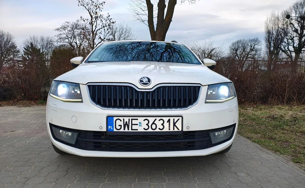 Zdjęcie: 2015 Skoda Octavia