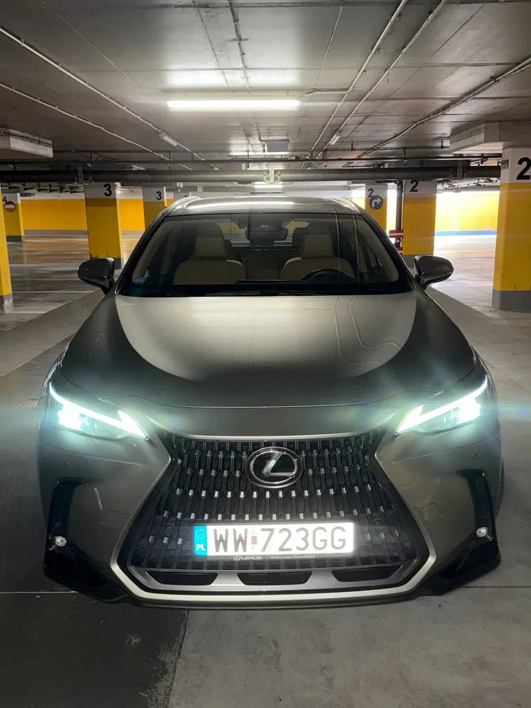 Zdjęcie: 2022 Lexus NX
