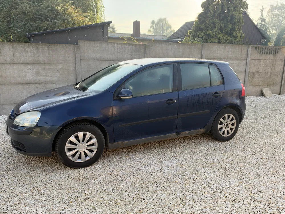 Zdjęcie: 2004 Volkswagen Golf