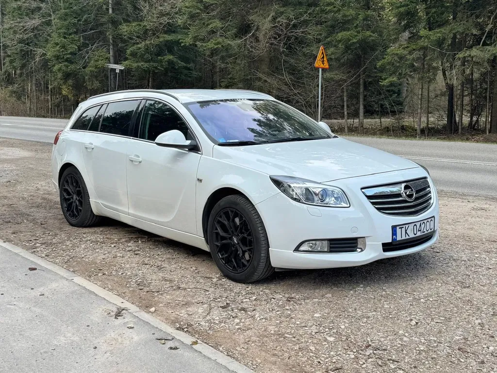 Zdjęcie: 2009 Opel Insignia