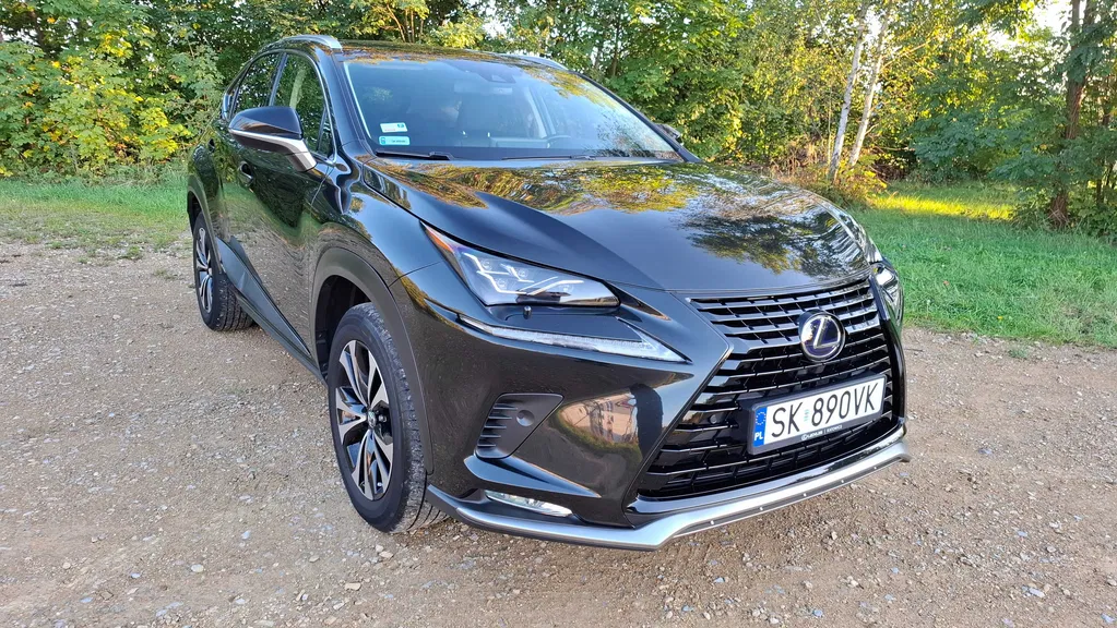 Zdjęcie: 2021 Lexus NX