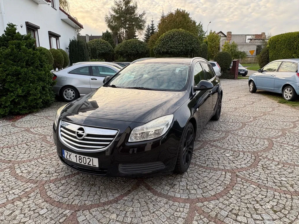 Zdjęcie: 2010 Opel Insignia