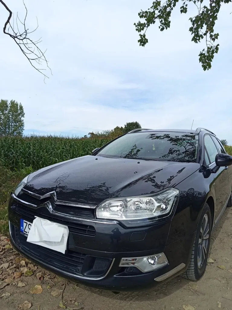 Zdjęcie: 2016 Citroen C5