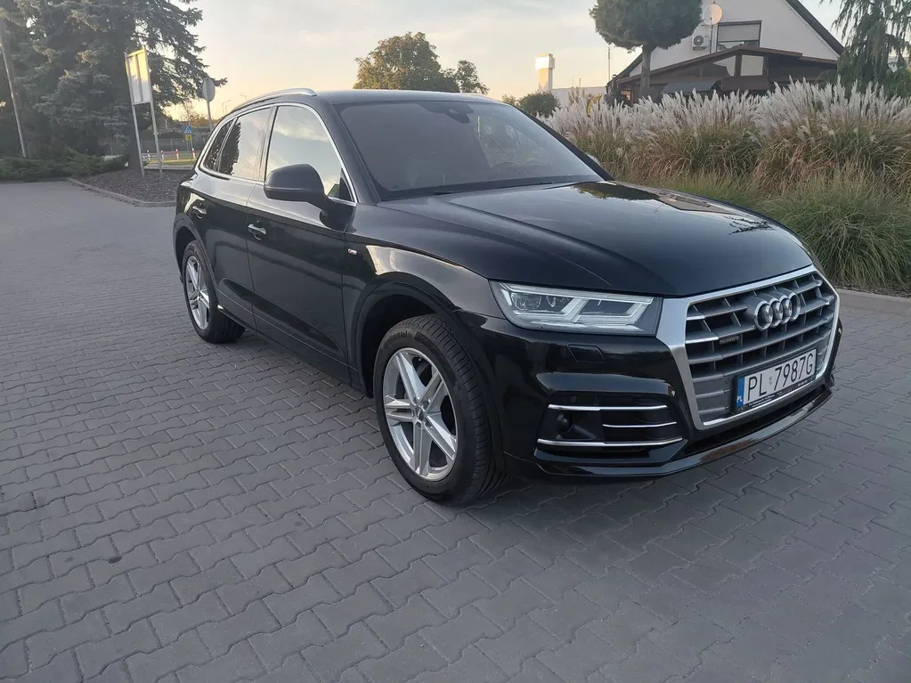 Zdjęcie: 2019 Audi Q5
