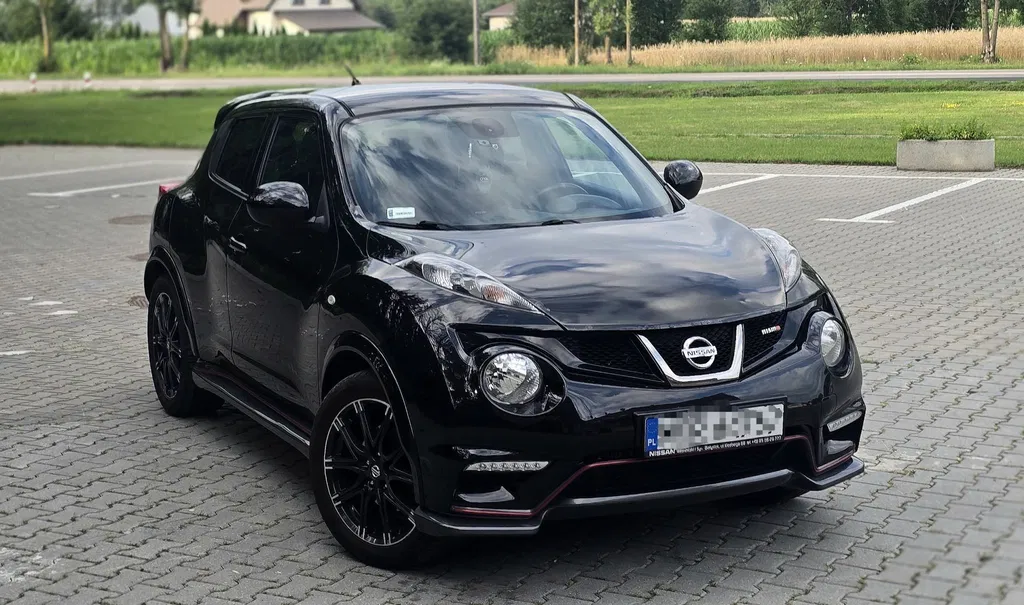 Zdjęcie: 2013 Nissan Juke