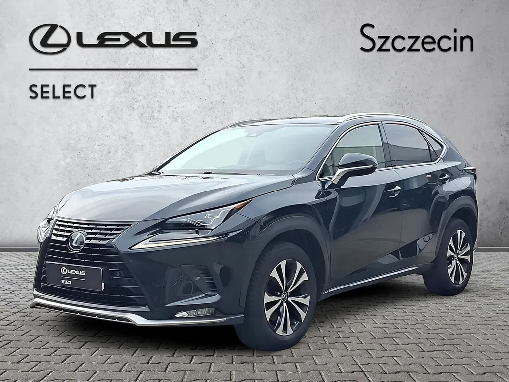 Zdjęcie: 2020 Lexus NX