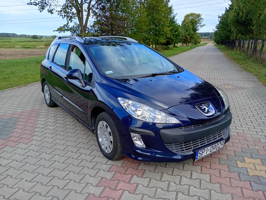 Zdjęcie: 2009 Peugeot 308